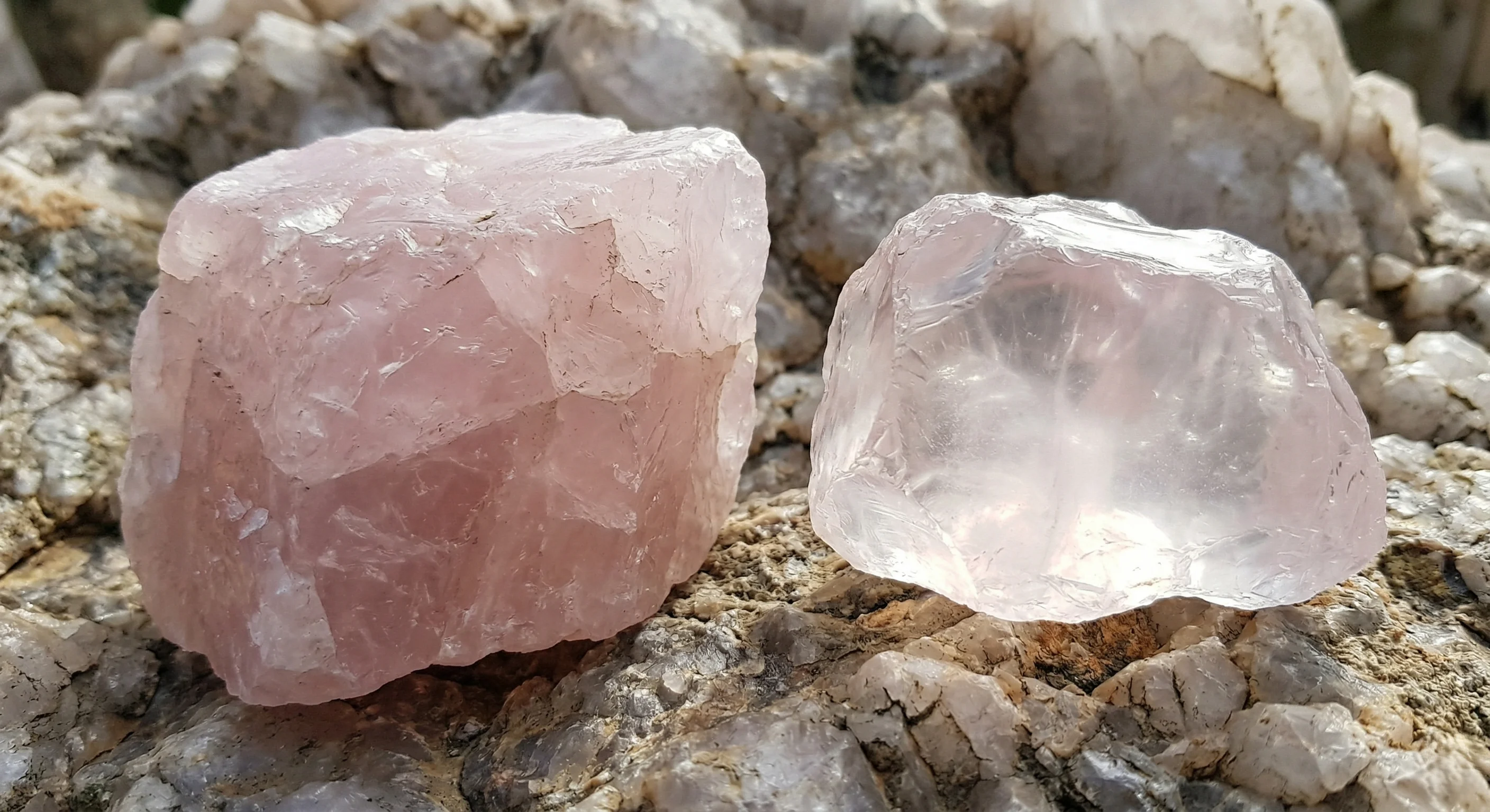 Global Provenance: Brazil's Blocks vs. Madagascar's Jelly